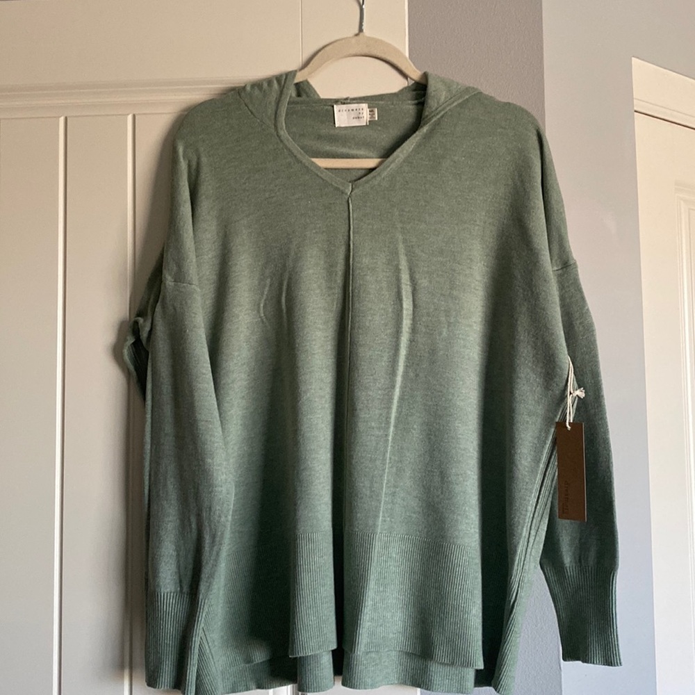 NWT Dreamers Hoodie Sweater in Sage
